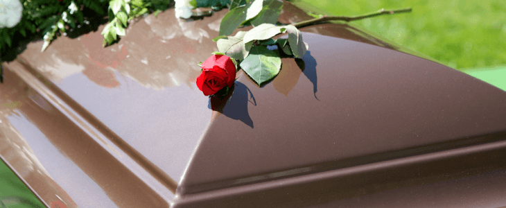 Rose on a casket
